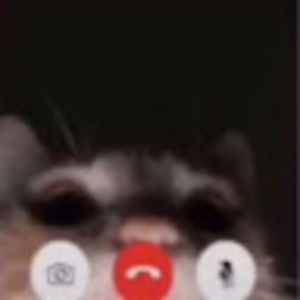 Meet your Posher, Tatiana